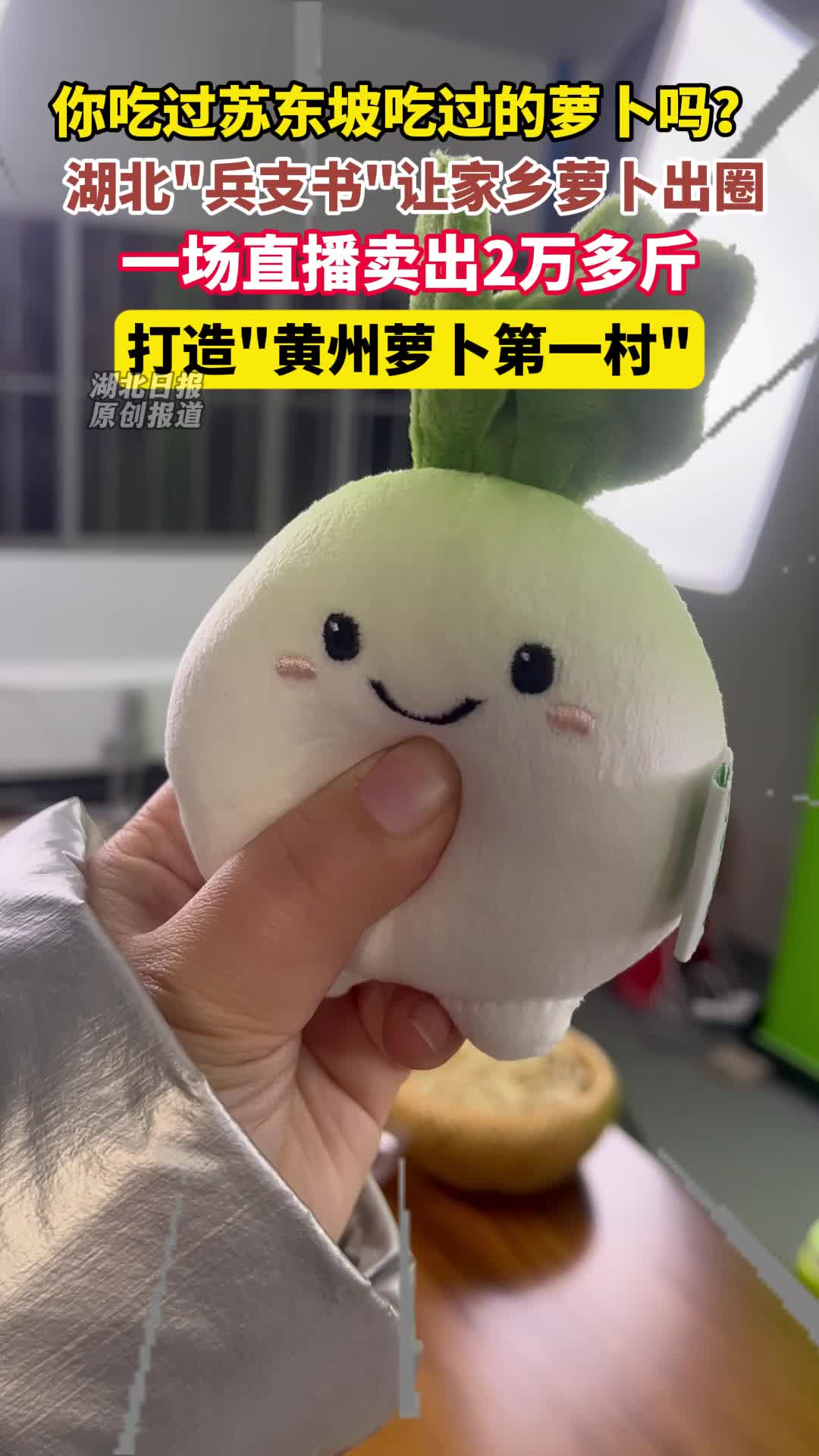 一场直播卖货2万斤， 湖北“兵支书”打造“萝卜第一村”