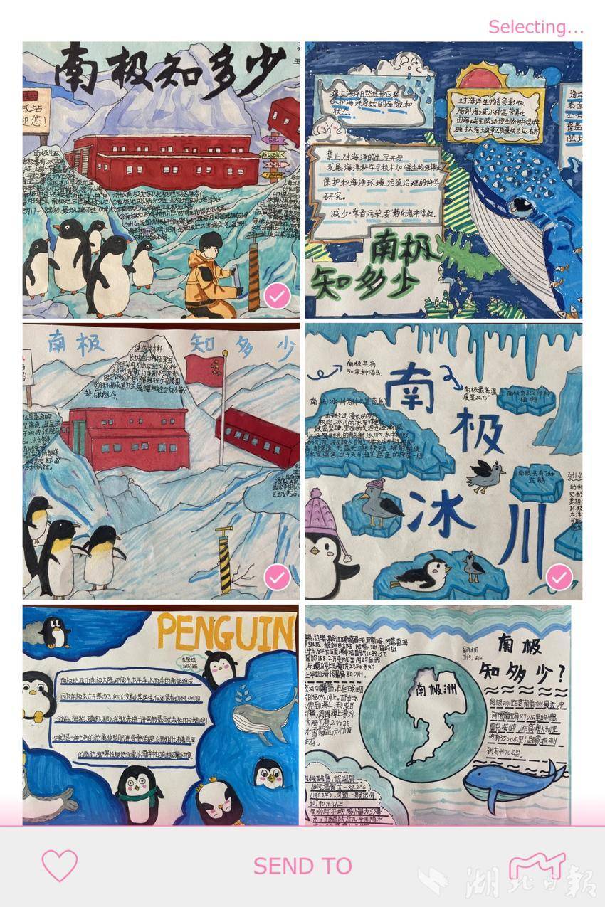 校教务处特别策划了"听讲座有感"主题征文比赛及"南极"主题手抄报评比