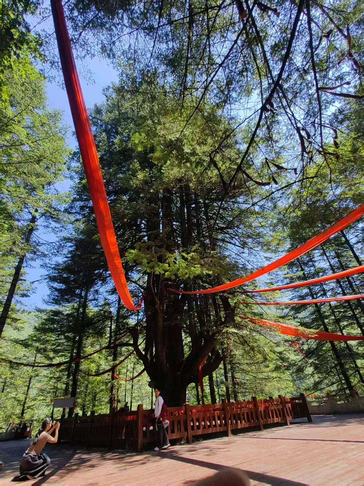 94eb604fa73583c057ab1290eb18785f.jpg 94eb604fa73583c057ab1290eb18785f.jpg