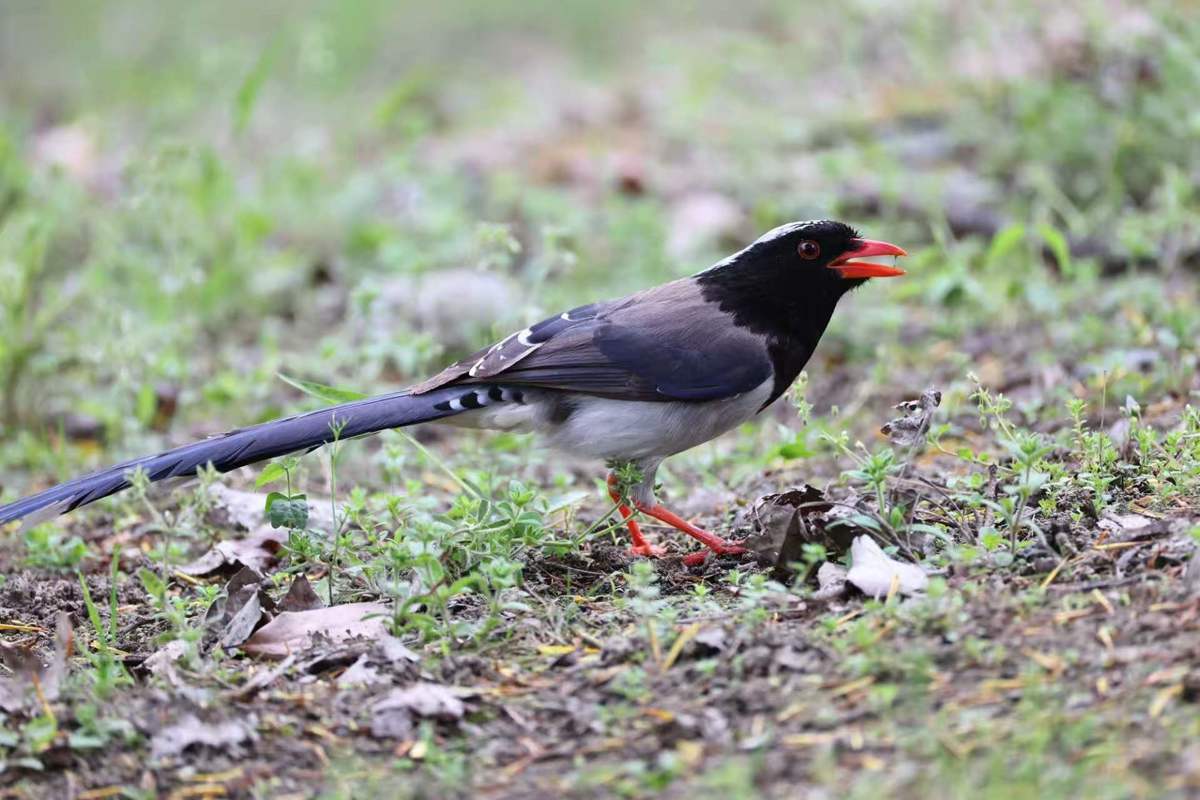 b0714867e62968074b482afe865acd27.jpg b0714867e62968074b482afe865acd27.jpg