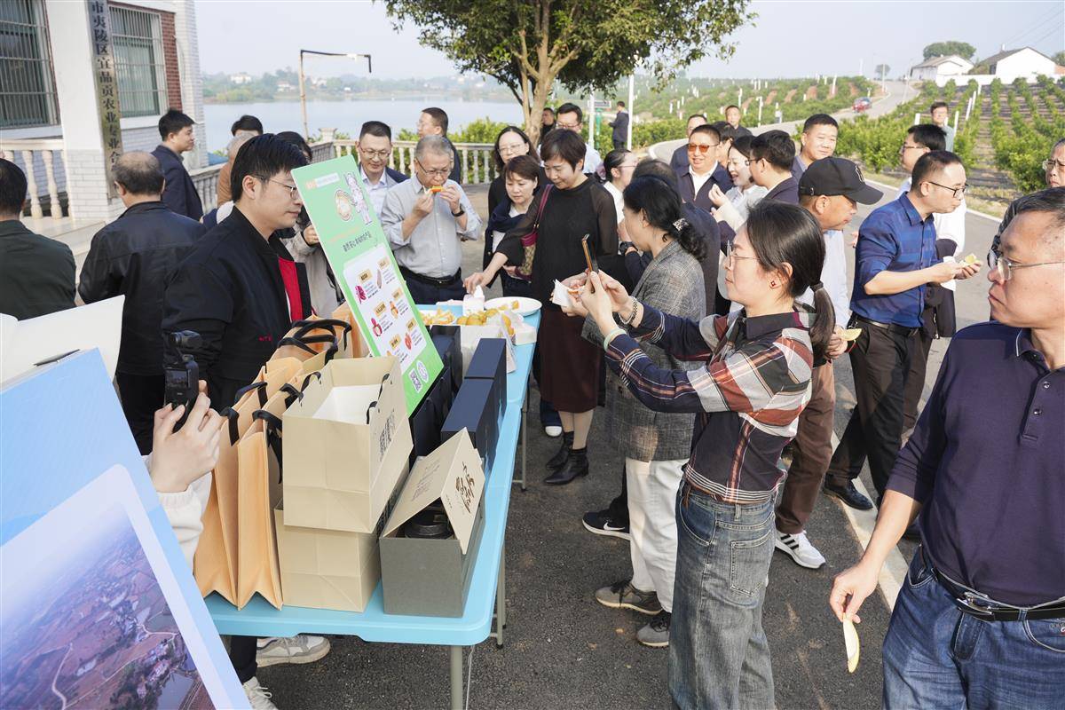 宜昌鸦鹊岭国土综合整治后社会资本投资的一些品牌农产品吸引了大家的目光,纷纷驻足品尝.jpg 宜昌鸦鹊岭国土综合整治后社会资本投资的一些品牌农产品吸引了大家的目光,纷纷驻足品尝.jpg
