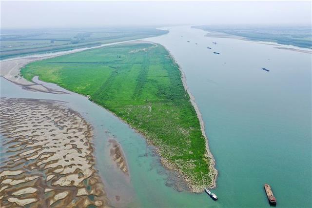 荆江率先在长江流域建成生态航道江段内江豚麋鹿等一级保护动物显著