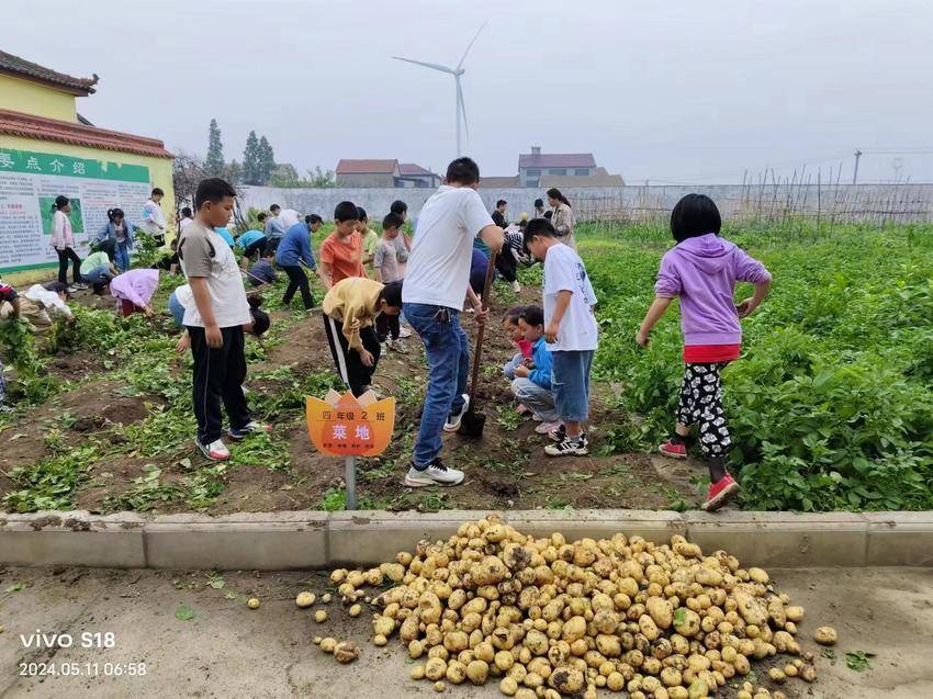 郑集镇楚才小学:劳动锻炼快乐多 辛勤耕耘结硕果