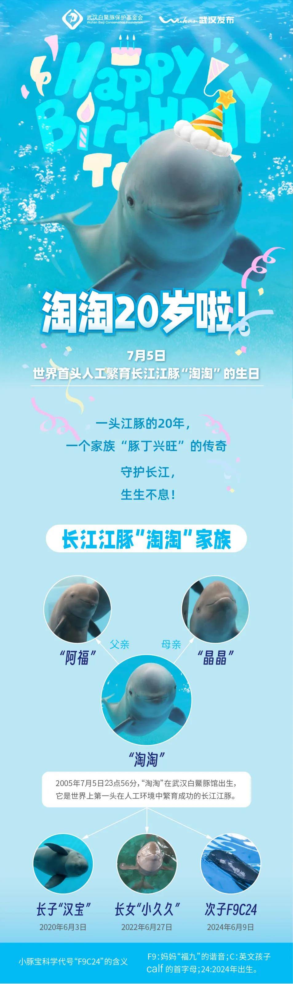 cb202507050841495094727cza.png