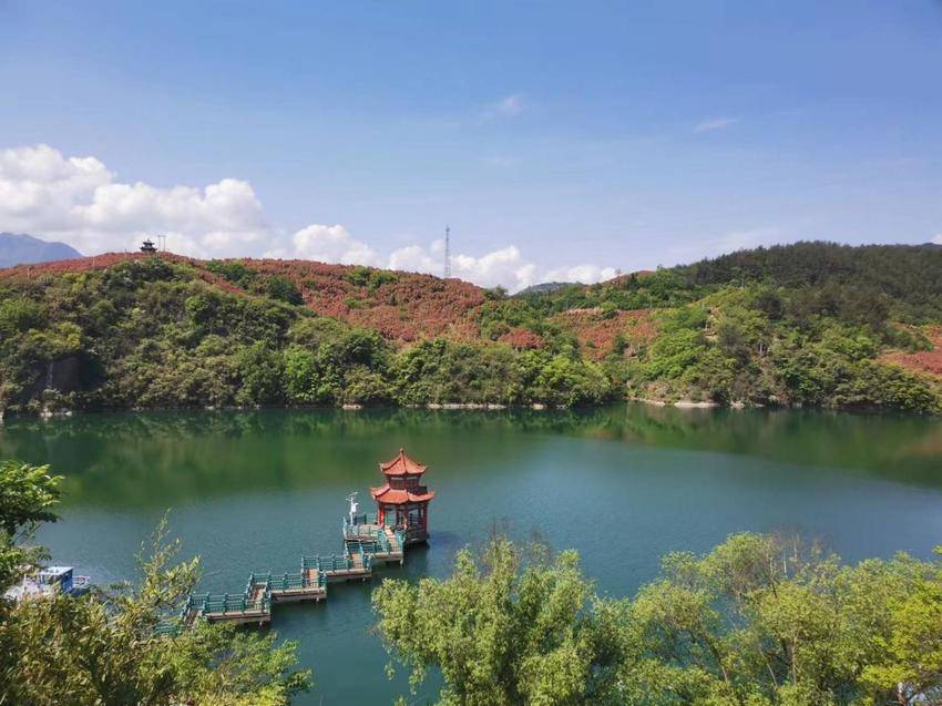 转龙平安湖湿地公园图片