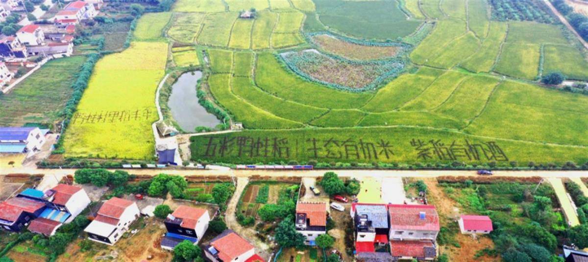 10.15湖北省申报项目全部成功入选国家山水工程第二批典型案例(2)1520.png 10.15湖北省申报项目全部成功入选国家山水工程第二批典型案例(2)1520.png