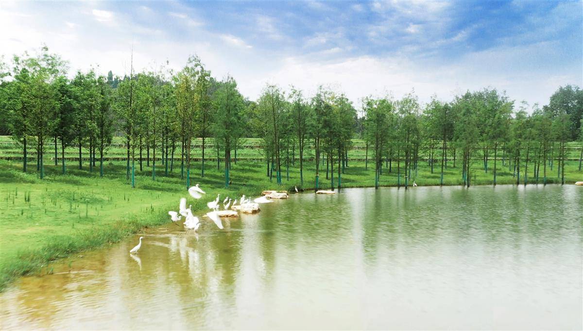 3659202844b136f60fe7257dcc6c7bb.jpg 3659202844b136f60fe7257dcc6c7bb.jpg