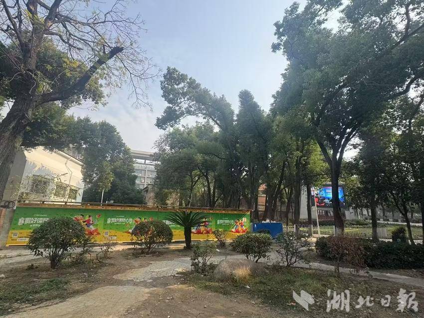 湖北轻工职业技术学院旁，长达十多米的外卖柜，显示出旺盛的外卖点餐需求。（摄影：记者熊星星）