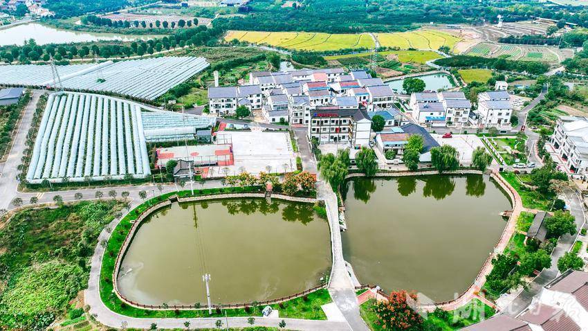 紫薇田园综合体带动周边村湾共同发展富裕。（受访单位供图）
