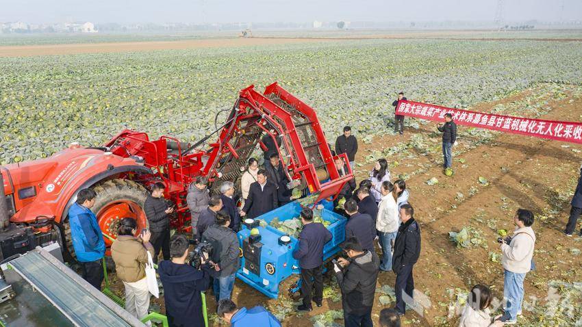 专家团队现场观摩。湖北日报通讯员雷平 摄