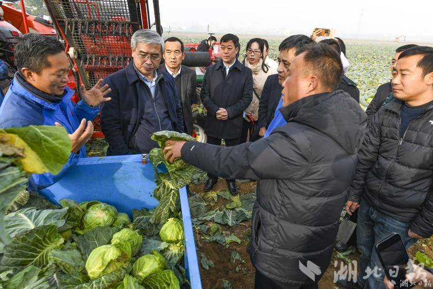 专家团队现场观摩。湖北日报通讯员雷平 摄
