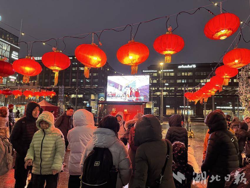 在芬兰赫尔辛基举行的中国庙会（受访者供图）