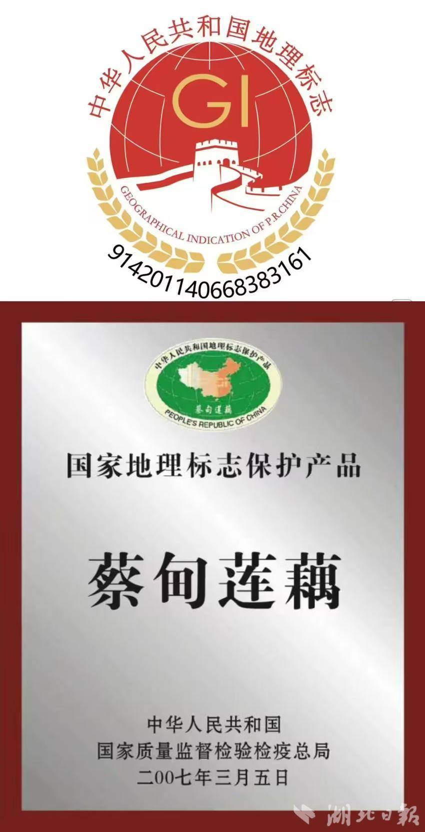 蔡甸莲藕是国家地理标志保护产品
