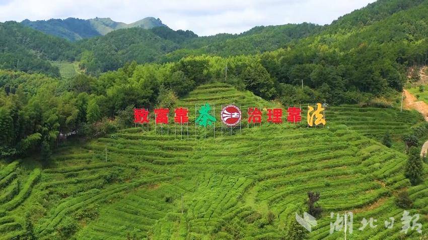 田祥森: 四十余载守乡土 实干绘就振兴图 - 湖北日报新闻客户端