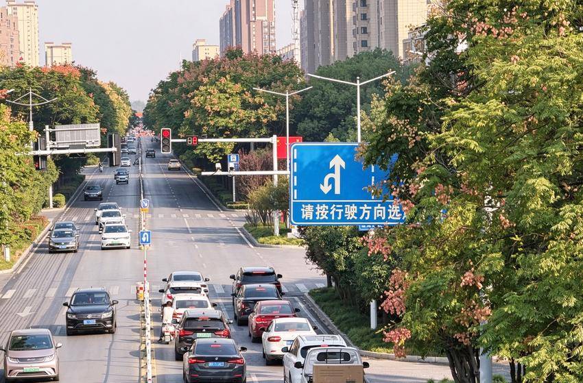 秋色上新！天门栾树进入“高光时刻” | 极目新闻