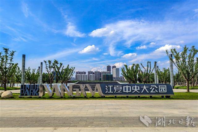 鸟瞰基本建成的江夏中央大公园 - 湖北日报新闻客户端